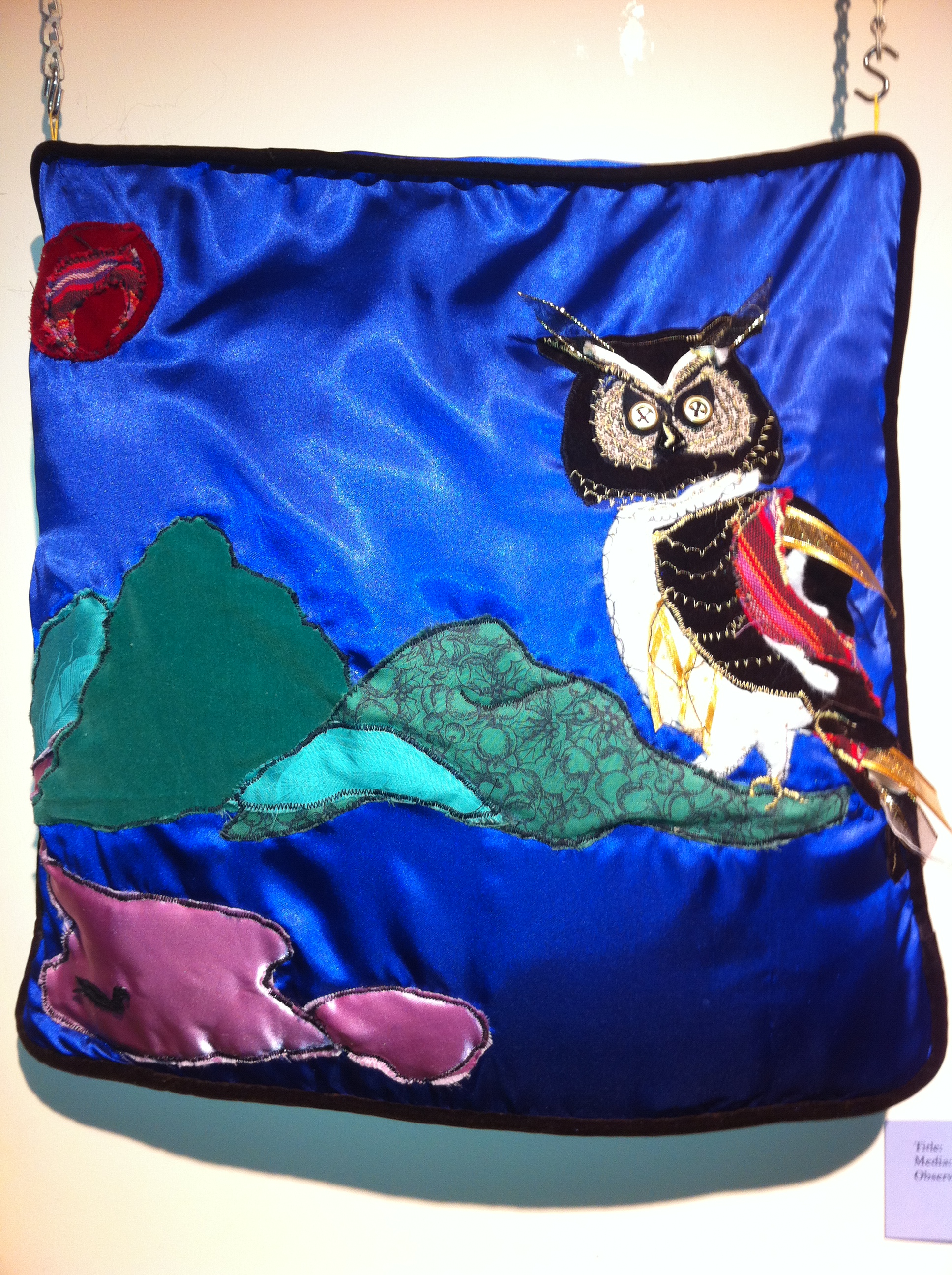 Owl and Loon