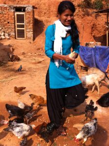 During AVP break, Sitha feeds goats & fowl